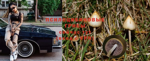 Альфа ПВП Богородицк