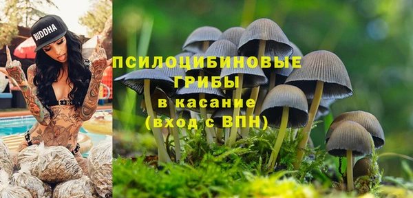 COCAINE Богданович