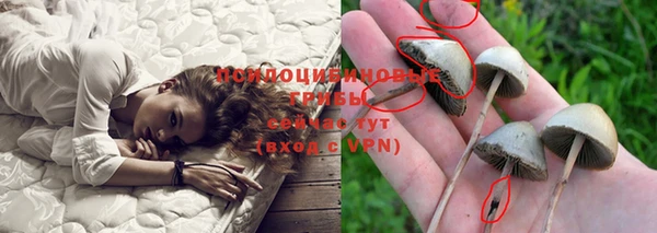 mdpv Белокуриха
